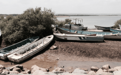 Warnath Group Consultations with Government of Djibouti Officials
